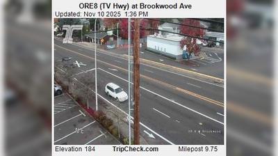 Homework help hillsboro oregon evergreen brookwood 05 image