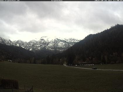 Furtig: Eigenthal
