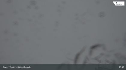 Davos › Ost