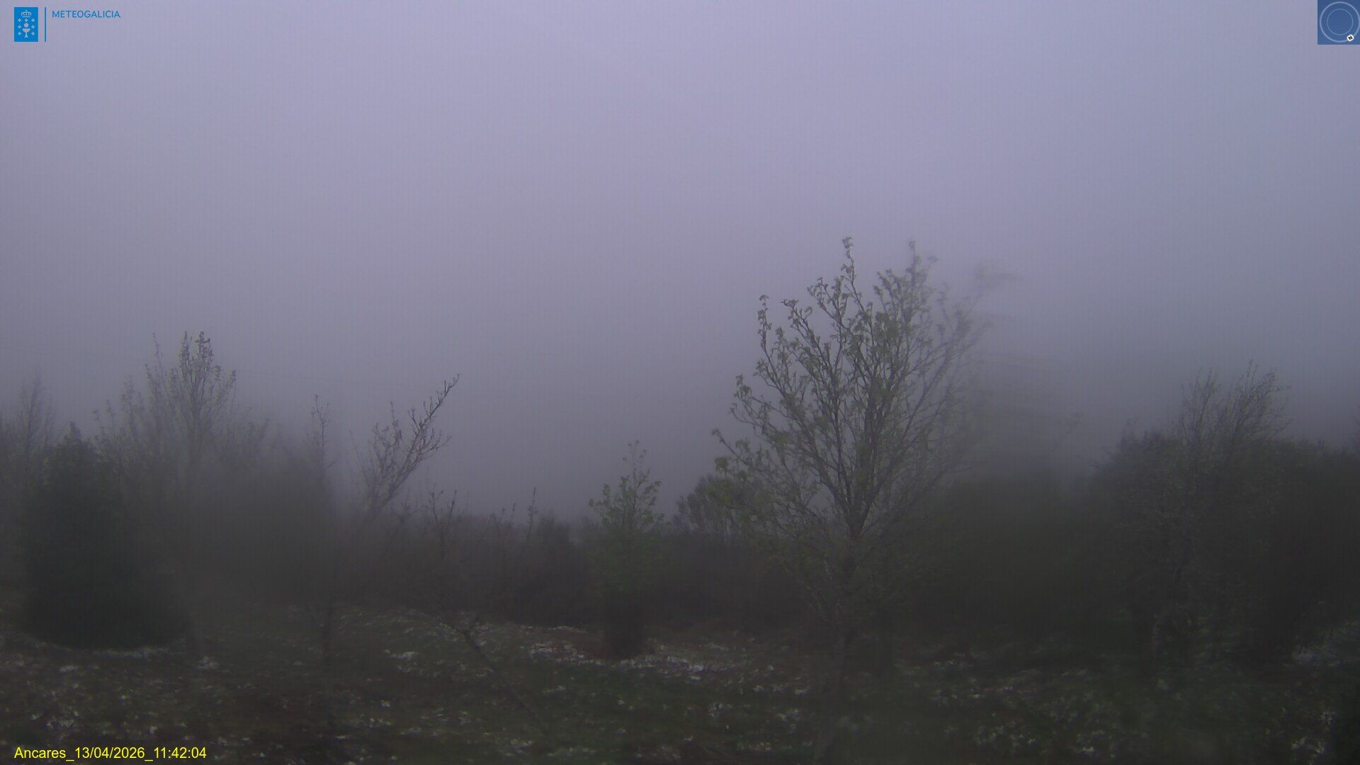 Traffic Cam Cervantes › East