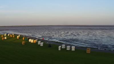Busumer Deichhausen: Livespotting - Live am Wattenmeer der Nordsee an der Meldorfer Bucht