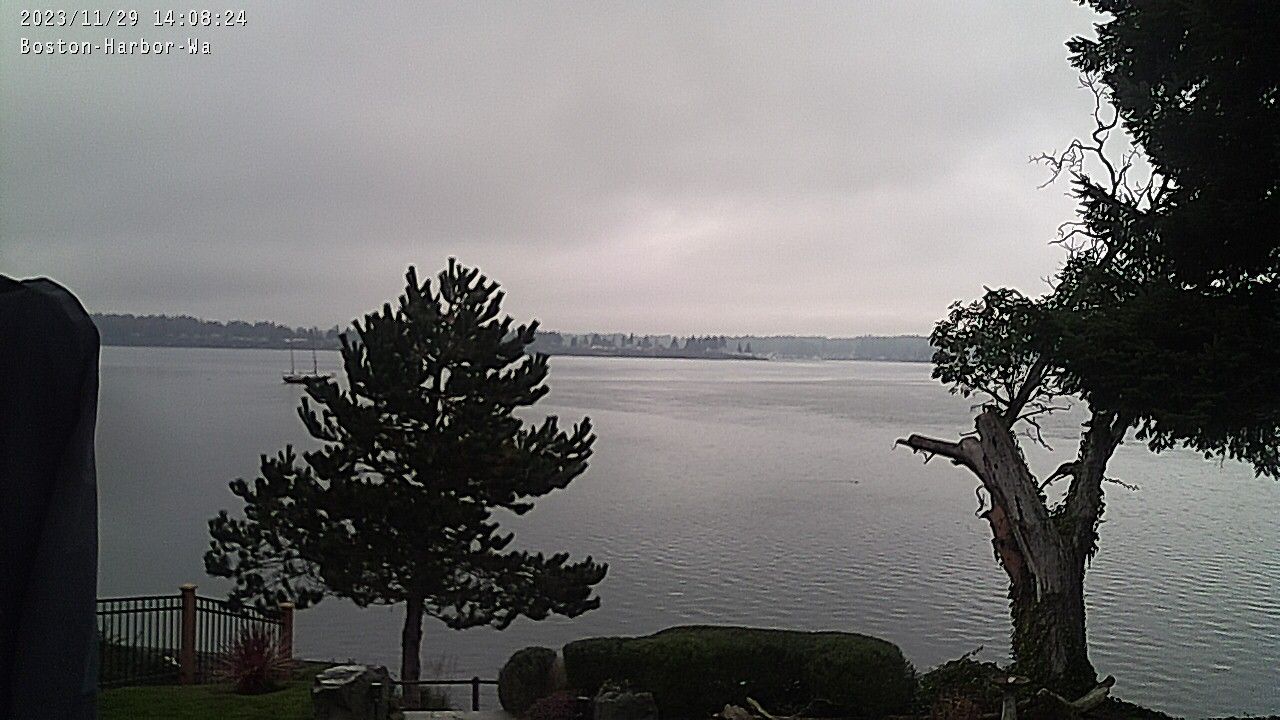 Traffic Cam Boston Harbor › West: Boston Harbor Marina