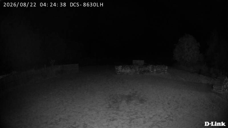 Traffic Cam Paradise › South