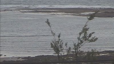 Recent Flinders Webcam Image