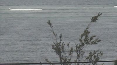 Flinders Daytime Webcam Image