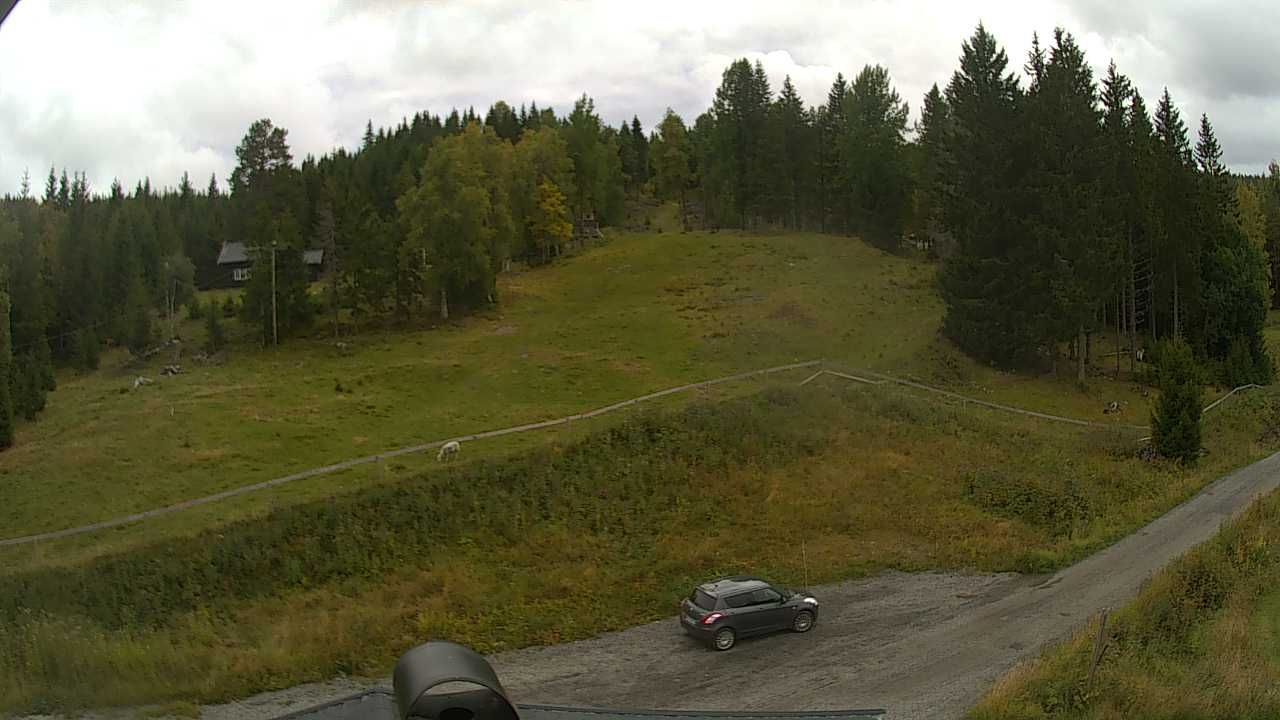 Traffic Cam Egge: Eiksetra