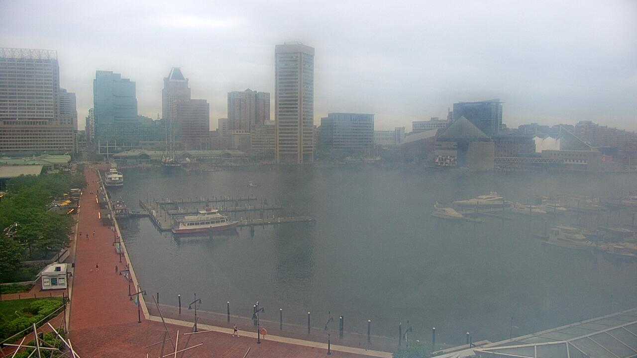 Baltimore webcam