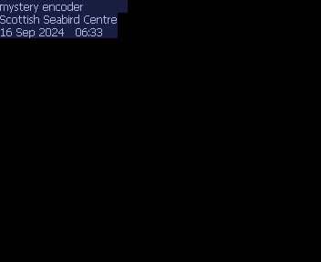 Traffic Cam Kingston: Isle of May