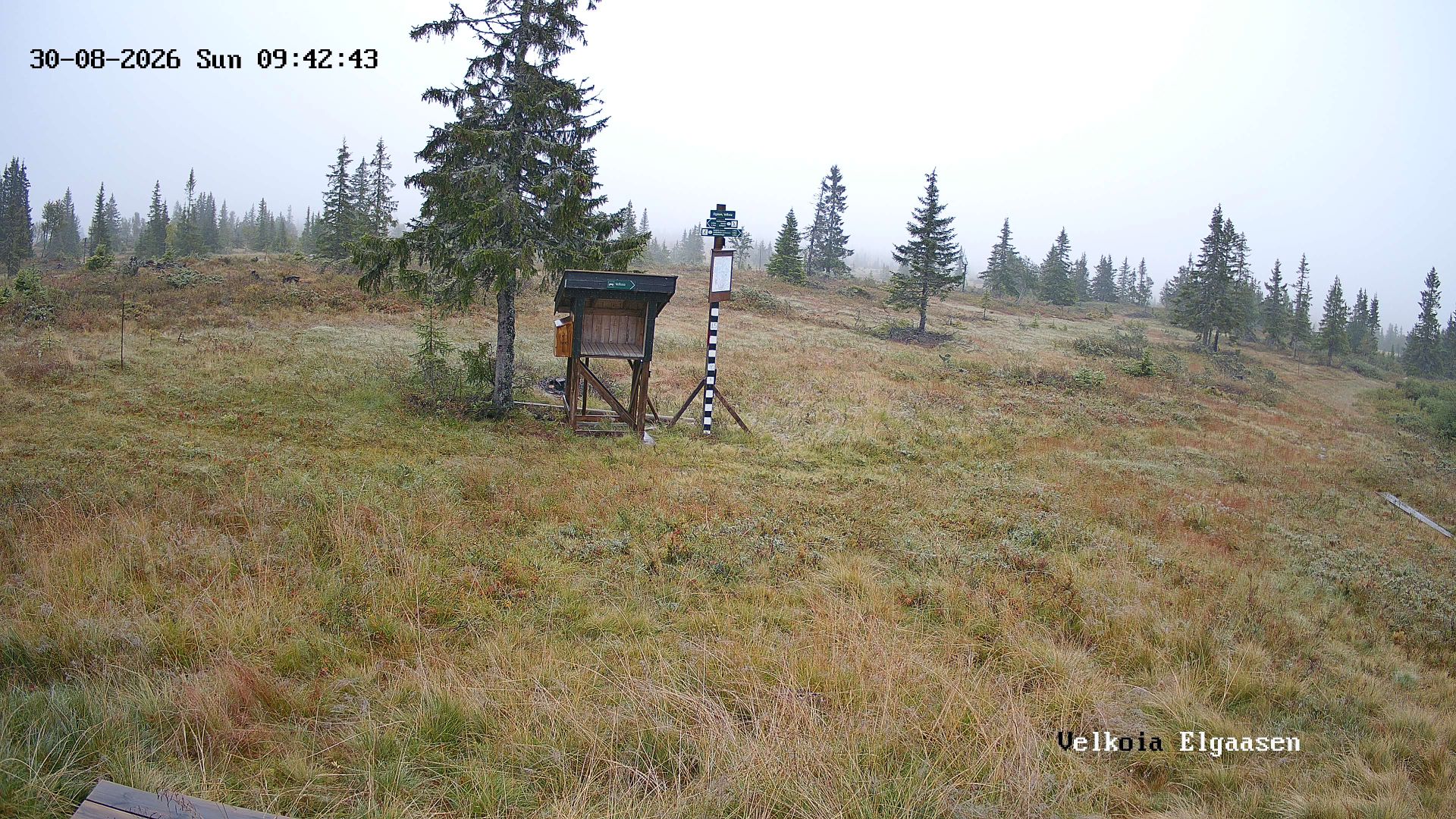 Traffic Cam Kuasen › South-East: Elgåsen - Hedmark fylke
