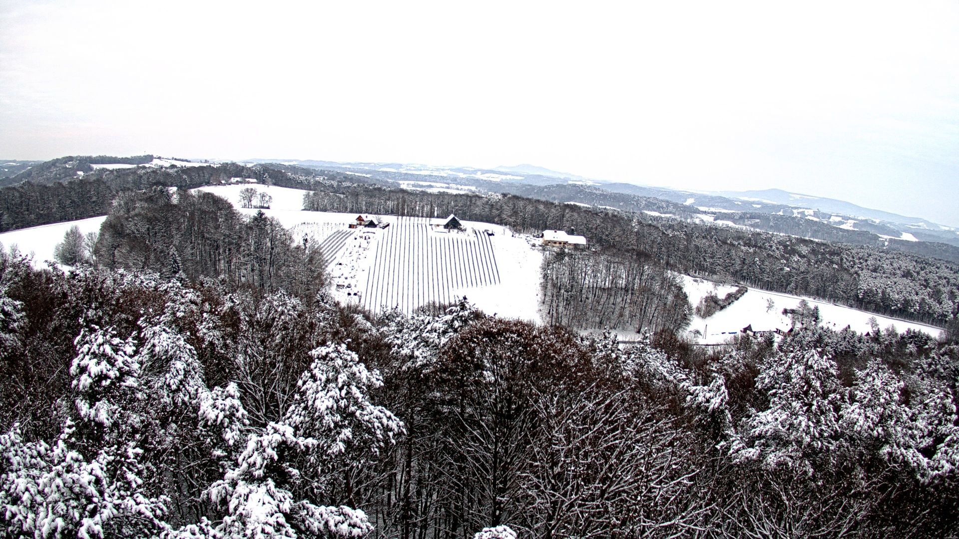 Traffic Cam Gleichenberg Dorf: Aussichtsturm, Weinwarte St. Peter mit Blickrichtung NO