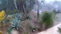 Dubrovnik: Construction Site of the Botanical Garden on the Island of Lokrum