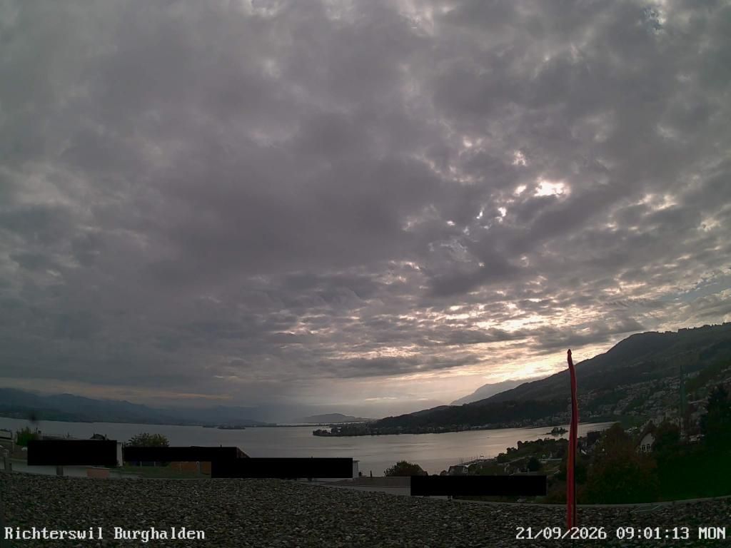 Richterswil › Osten