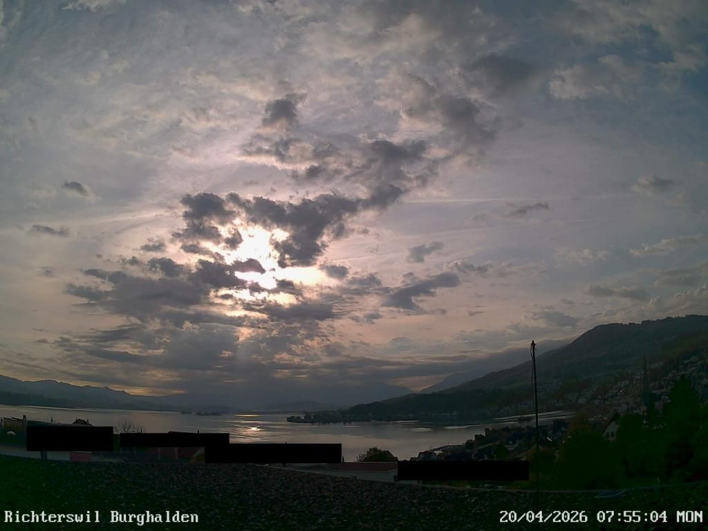 Richterswil › Osten