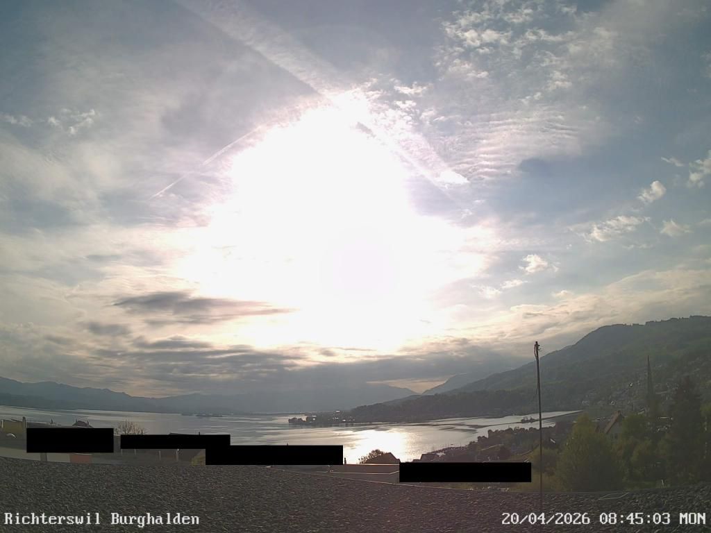 Richterswil › Osten