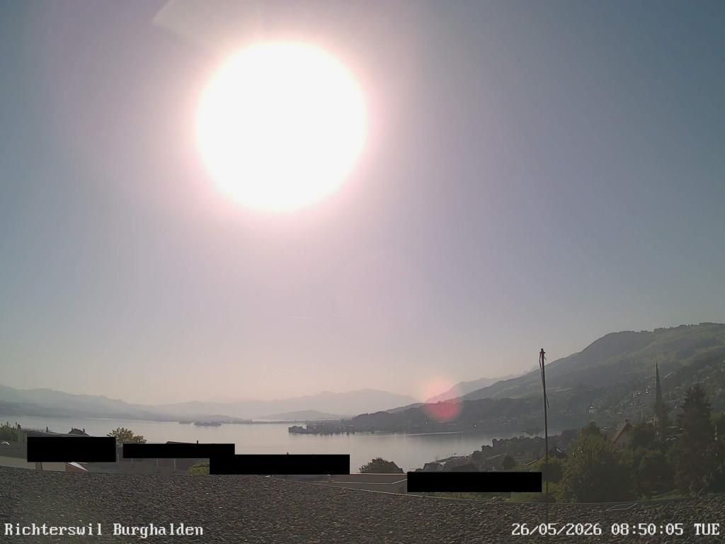 Richterswil › Osten