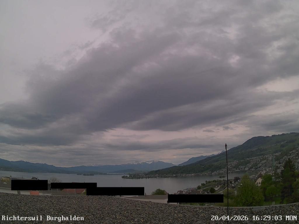 Richterswil › Osten