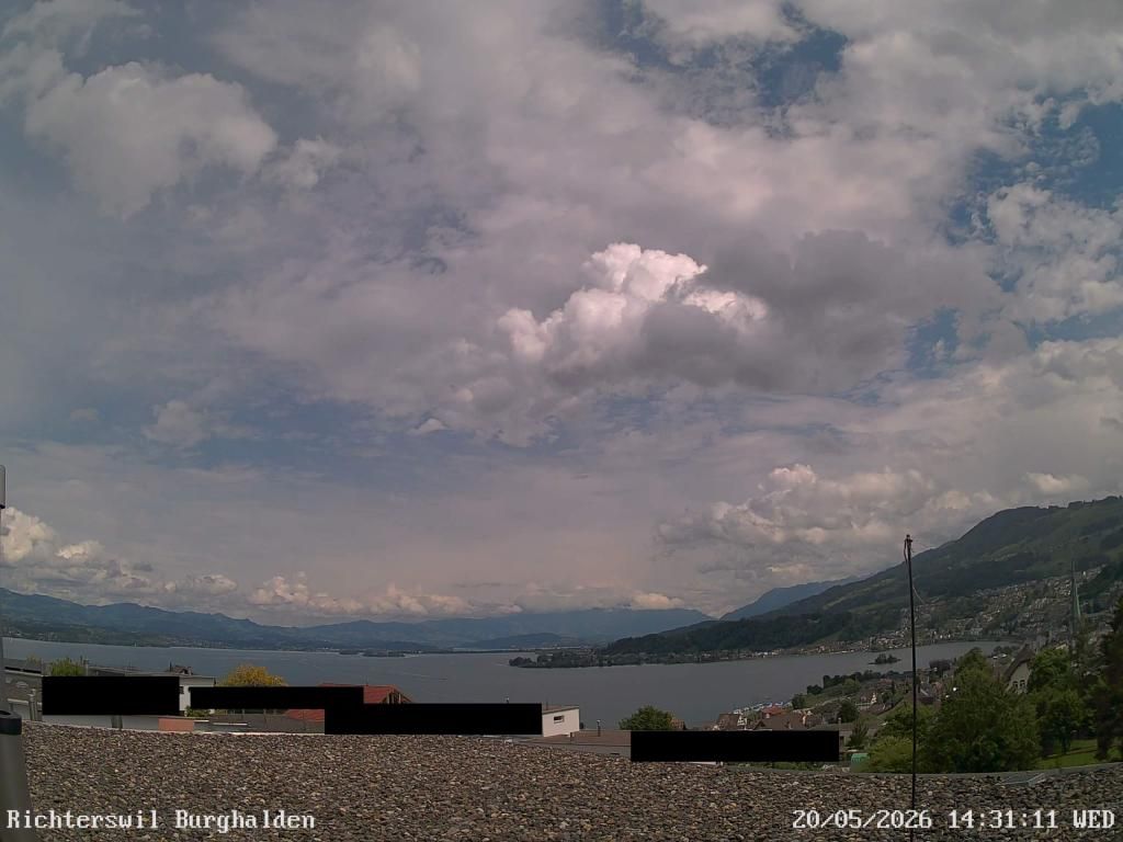 Richterswil › Osten