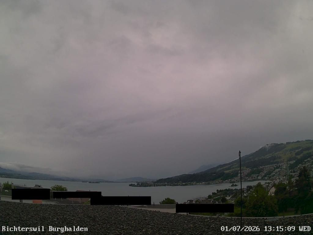 Richterswil › Osten