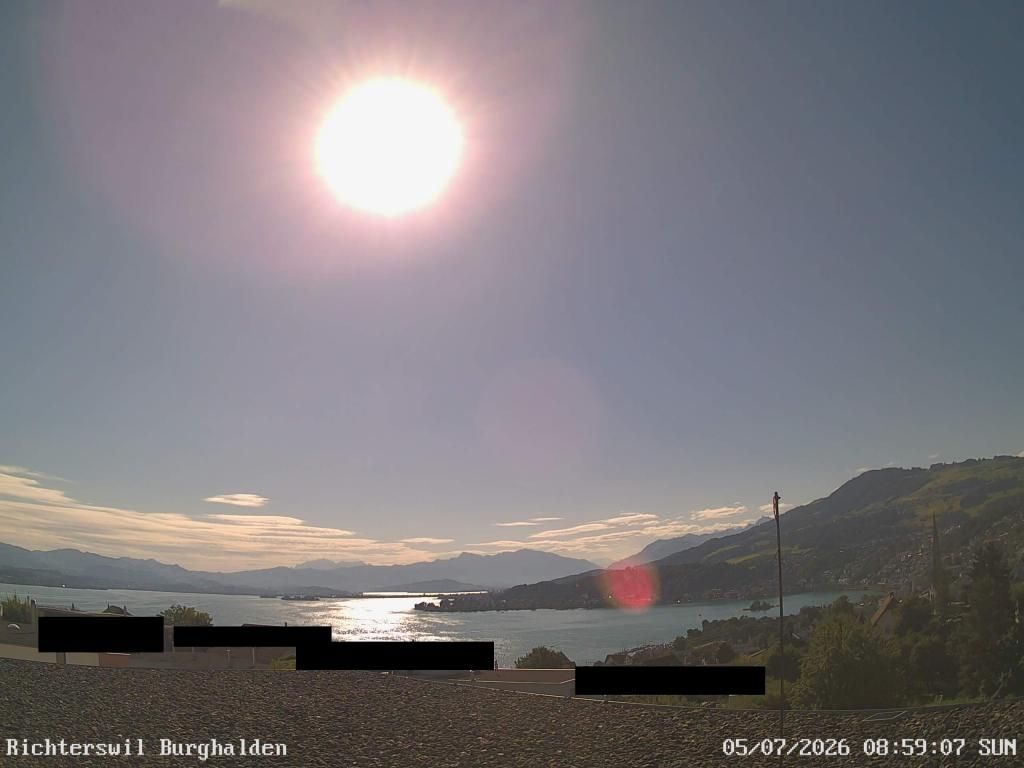 Richterswil › Osten