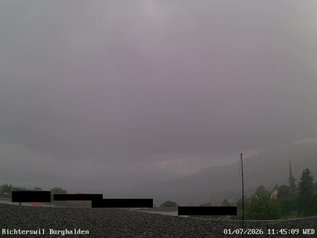 Richterswil › Osten