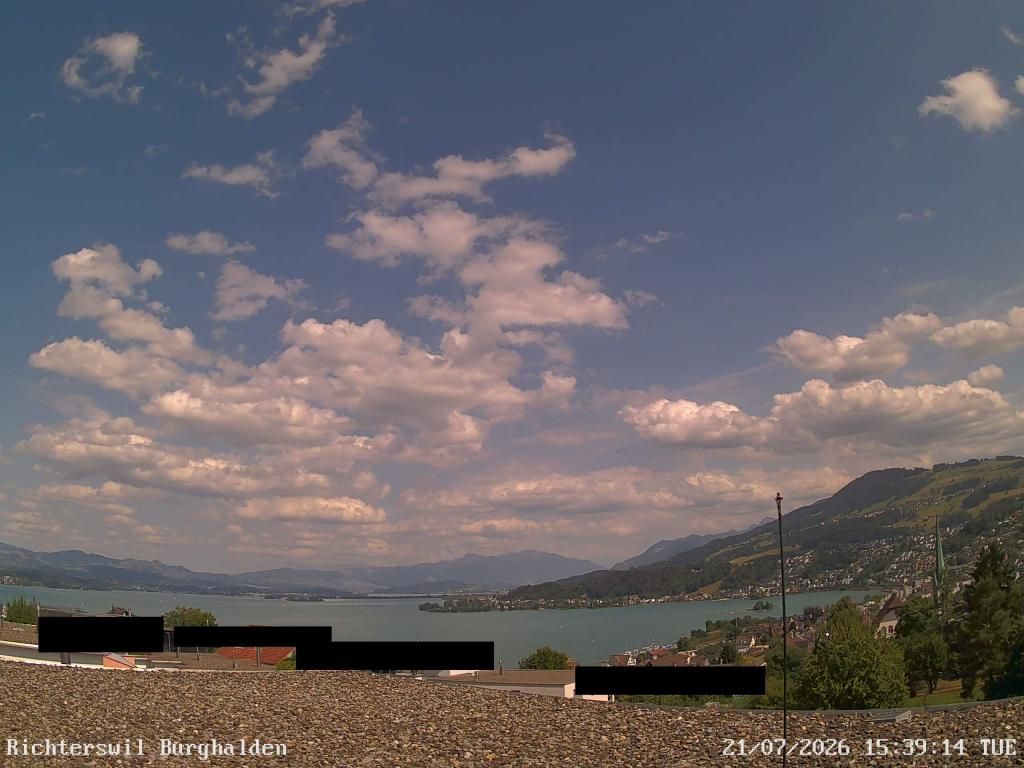 Richterswil › Osten