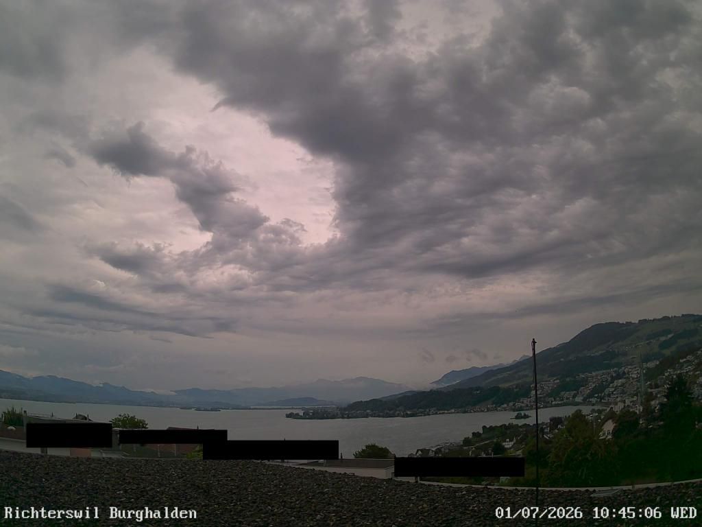 Richterswil › Osten