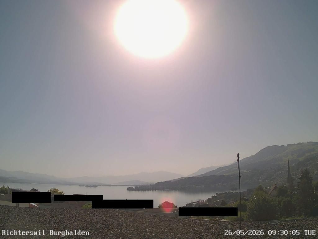 Richterswil › Osten