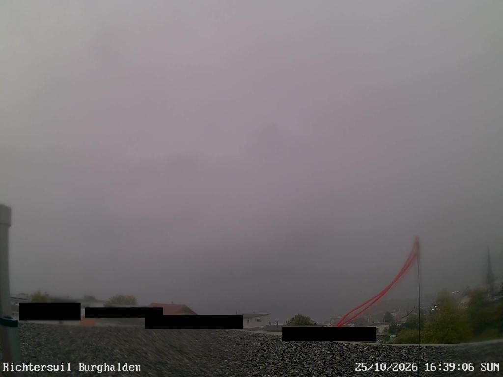 Richterswil › Osten