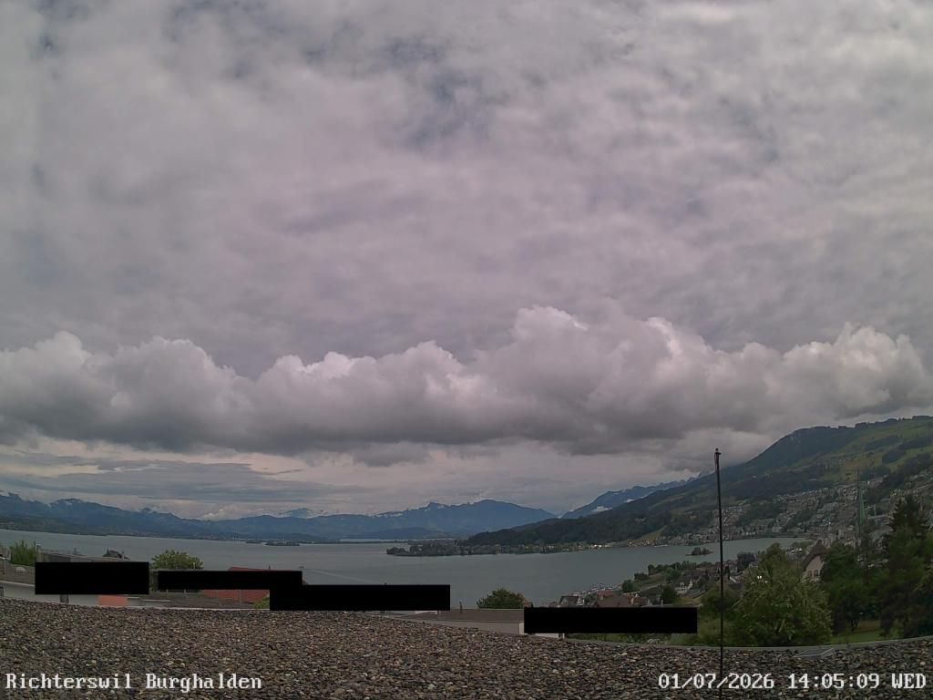 Richterswil › Osten