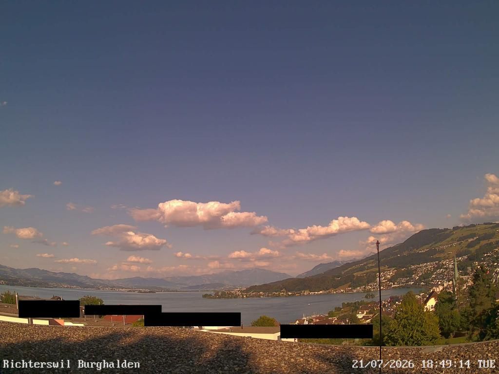Richterswil › Osten