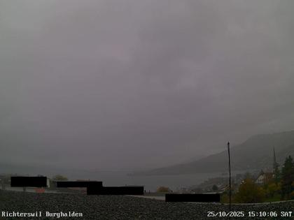 Richterswil › Ost