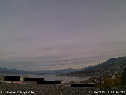 Richterswil › Ost