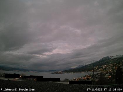 Richterswil › Osten