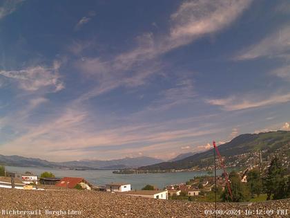 Richterswil › Ost