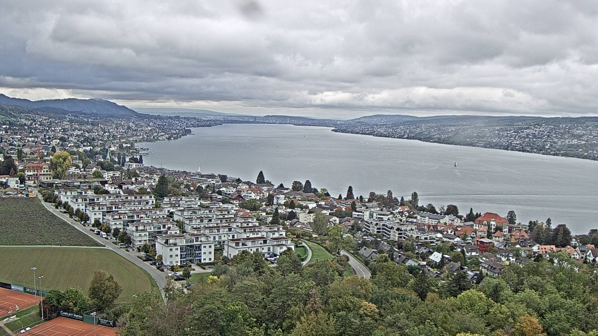 Horgen: Horgen, Reithy