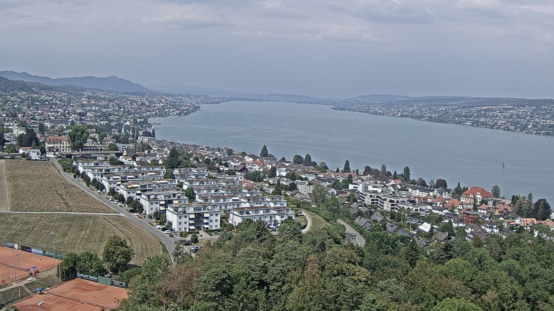 Horgen: Horgen, Reithy