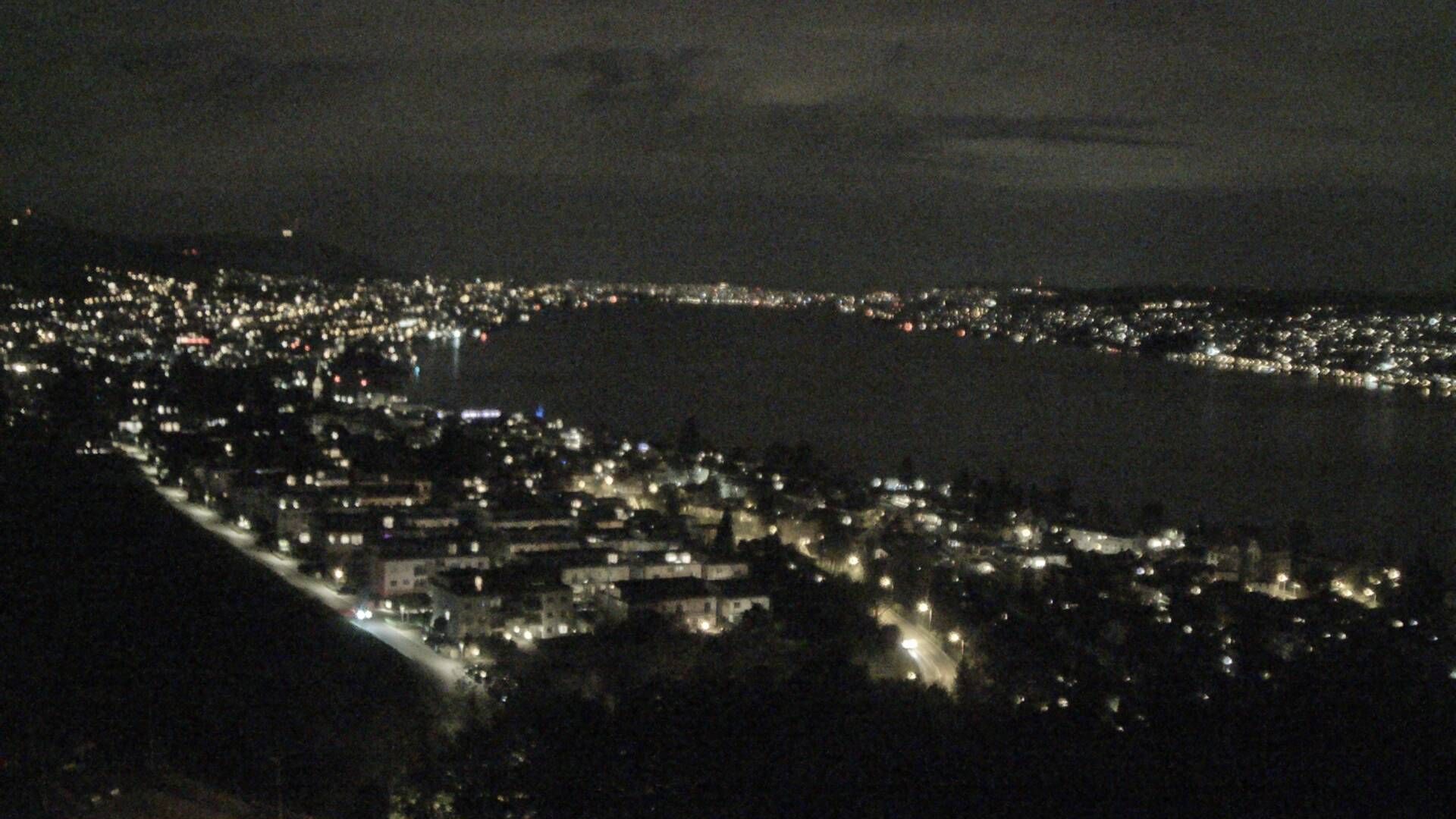 Horgen: Horgen, Reithy