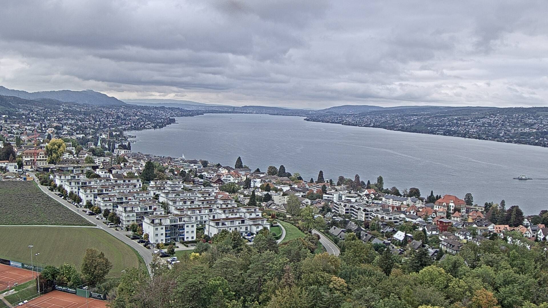 Horgen: Horgen, Reithy