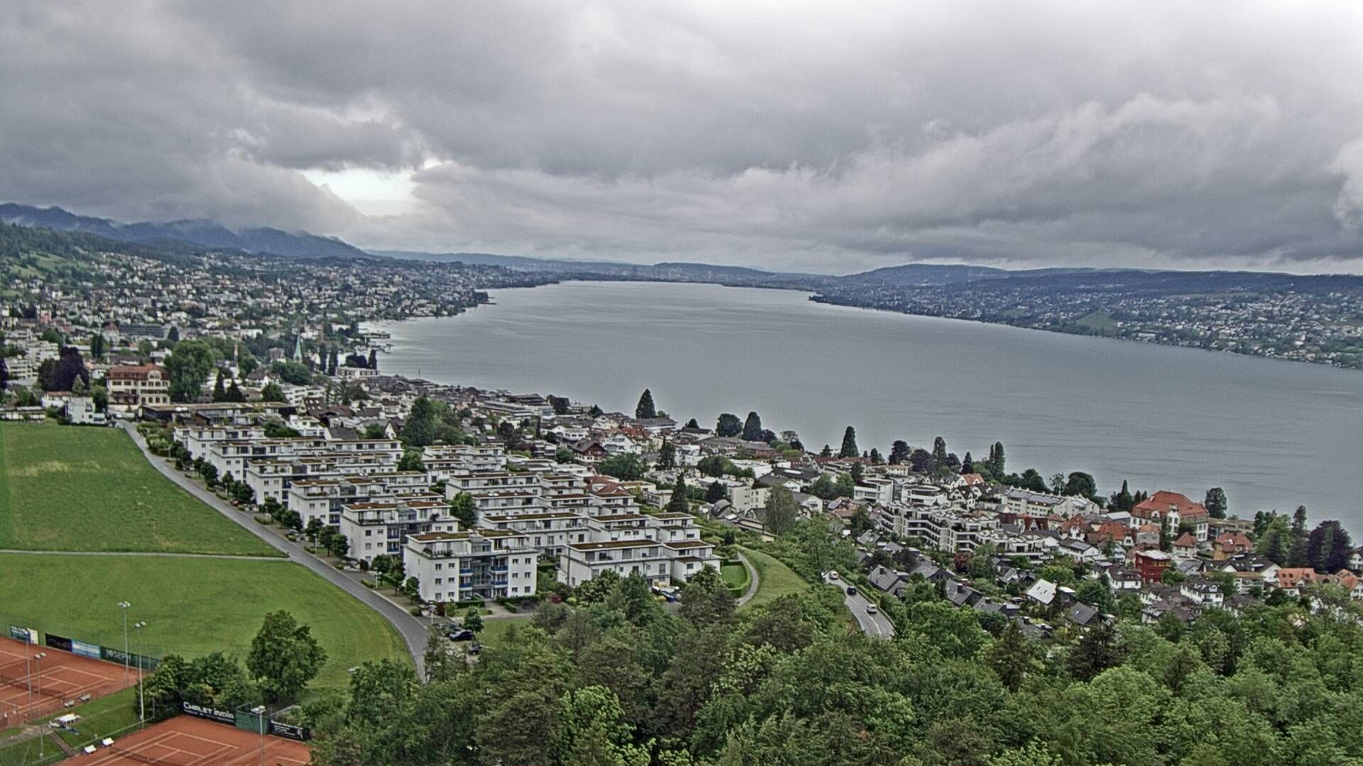 Horgen: Horgen, Reithy