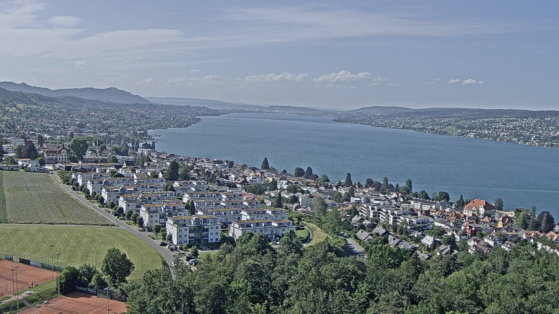 Horgen: Horgen, Reithy