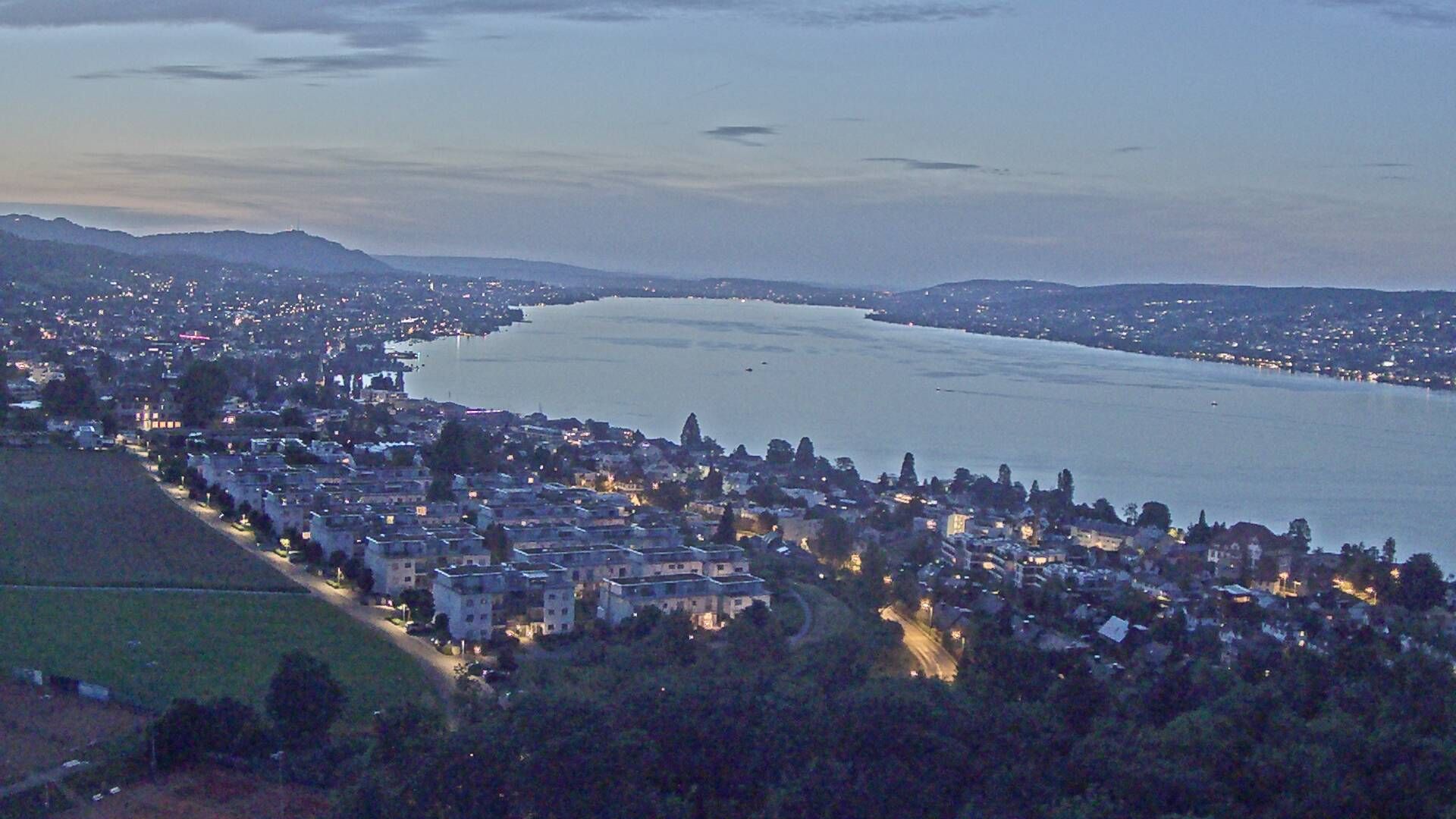 Horgen: Horgen, Reithy