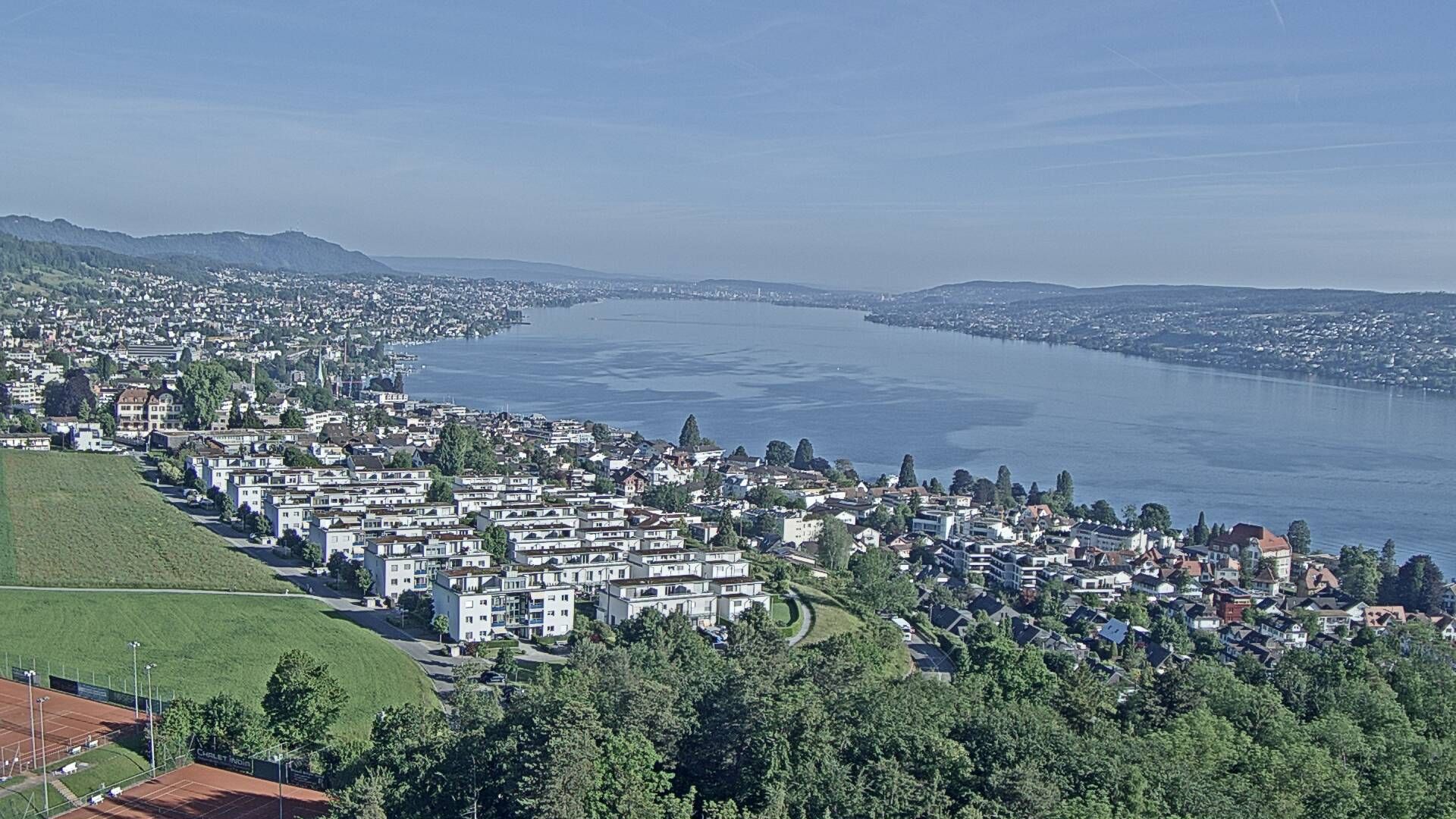 Horgen: Horgen, Reithy