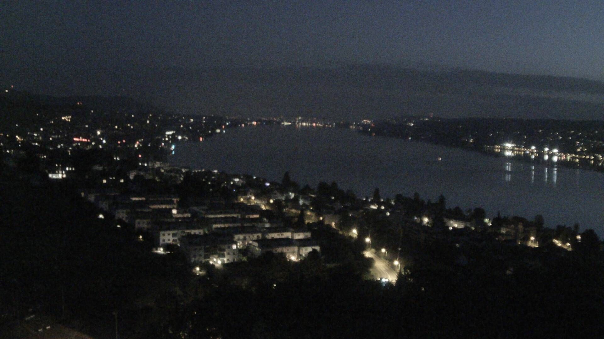 Horgen: Horgen, Reithy