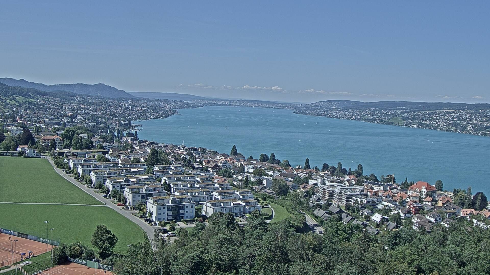 Horgen: Horgen, Reithy