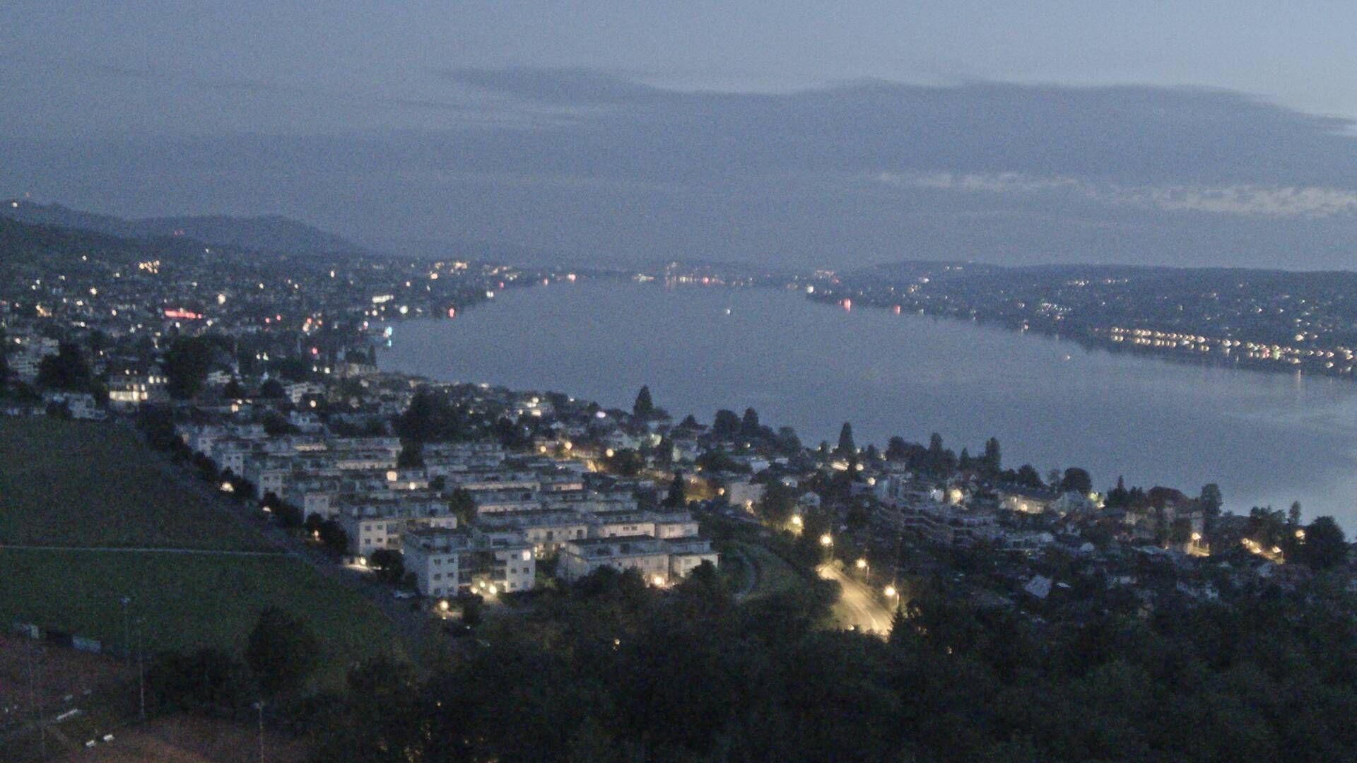 Horgen: Horgen, Reithy