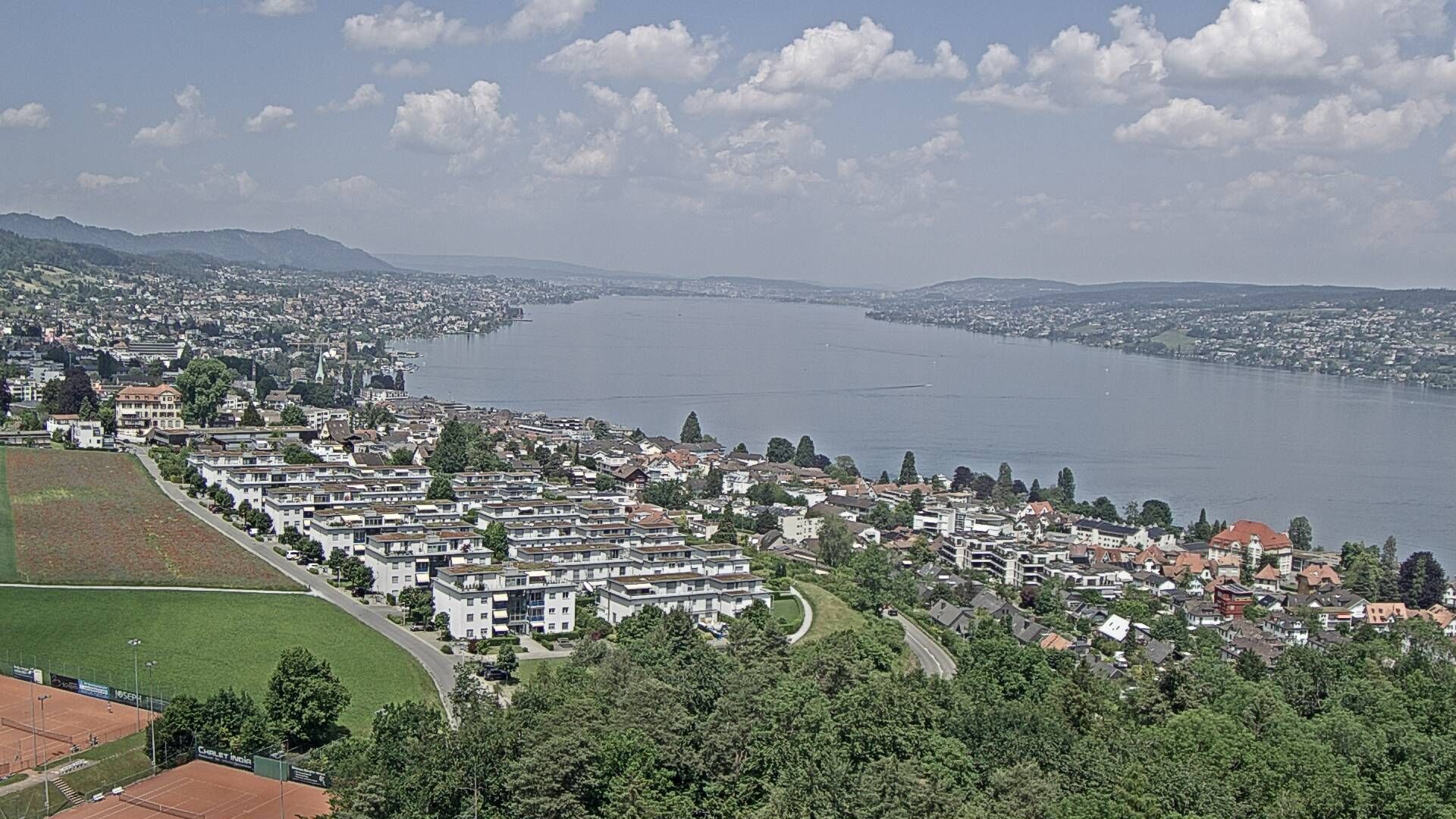 Horgen: Horgen, Reithy