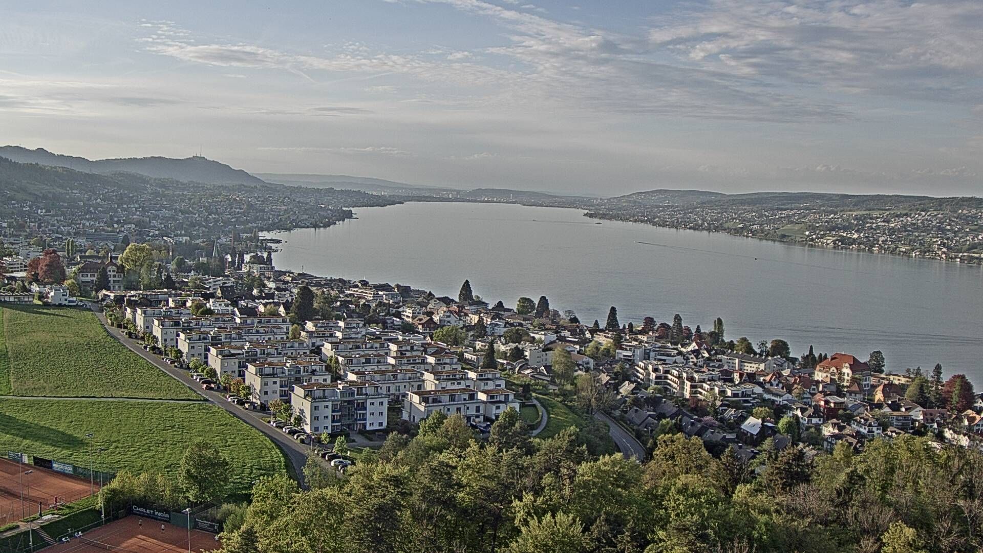 Horgen: Horgen, Reithy