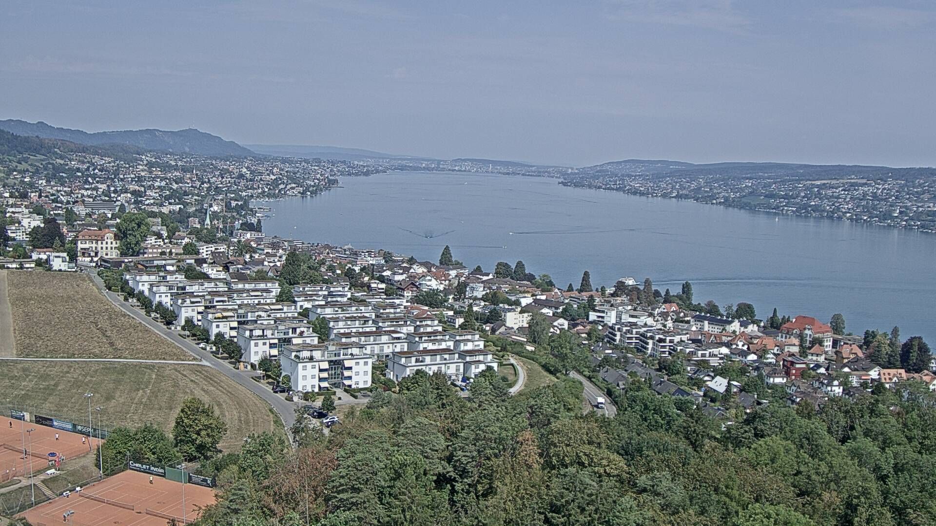 Horgen: Horgen, Reithy