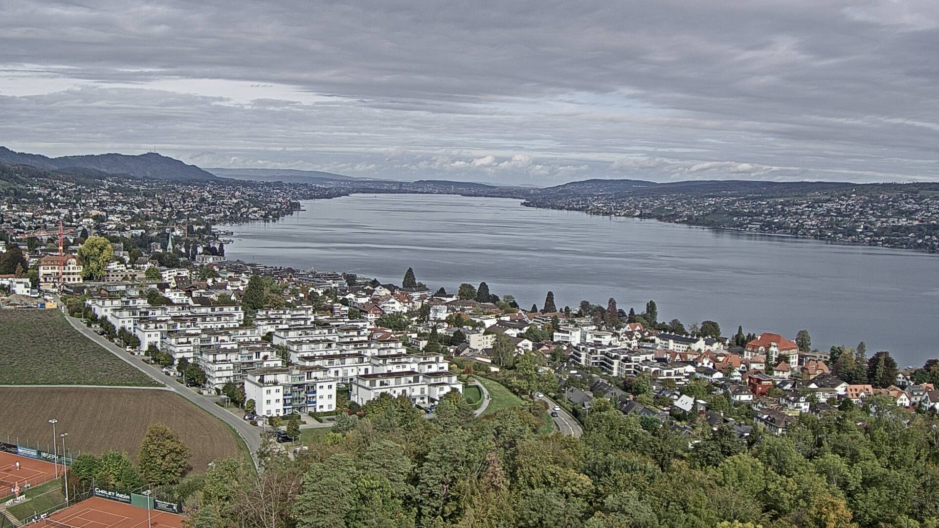 Horgen: Horgen, Reithy