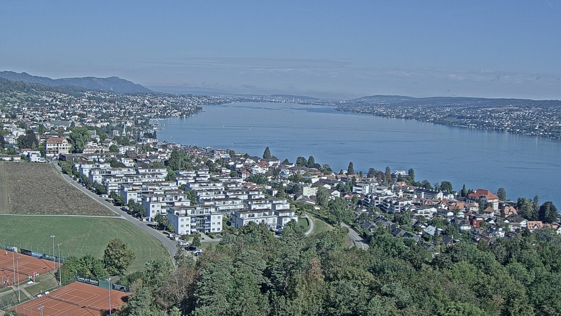 Horgen: Horgen, Reithy